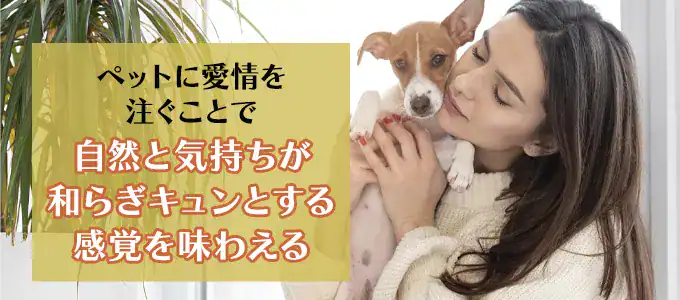ペットに愛情を注ぐ